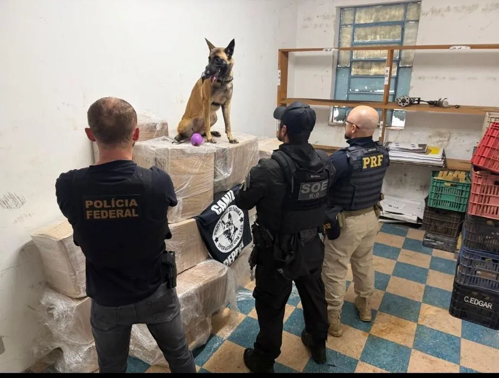 Agentes da Polícia Federal, Polícia Penal e PRF diante de fardos empilhados, com um cão farejador sentado sobre a carga apreendida.