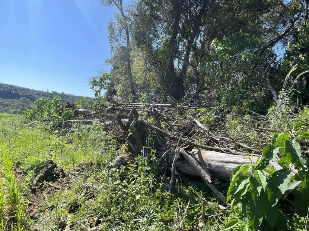 Polícia Ambiental multa responsável por desmatamento de 1,26 hectare em Pinhão