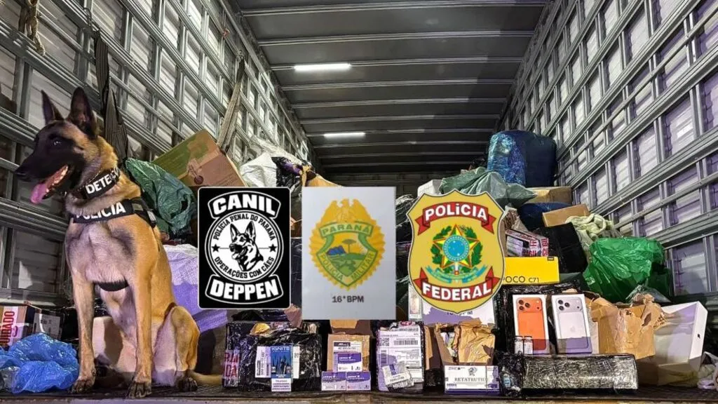 Cão policial sentado no interior de um caminhão, ao lado de caixas e pacotes de mercadorias. À frente da carga, aparecem placas de identificação da Polícia Penal do Paraná, do 16º BPM e da Polícia Federal.