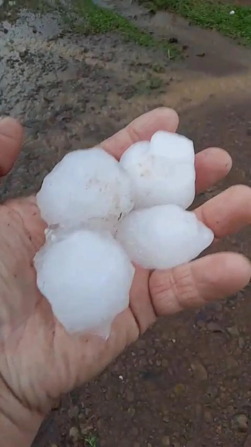 Mão segura quatro pedras grandes de granizo, de formatos irregulares, com solo molhado e pequenas poças ao fundo.
