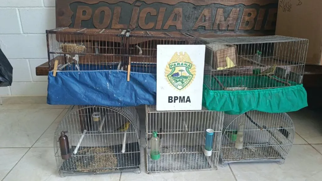 Gaiolas com aves silvestres, algumas com capas azuis e verde, reunidas diante de uma placa da Polícia Ambiental. Ao centro, uma identificação exibe o brasão da Polícia Militar do Paraná e a sigla BPMA.