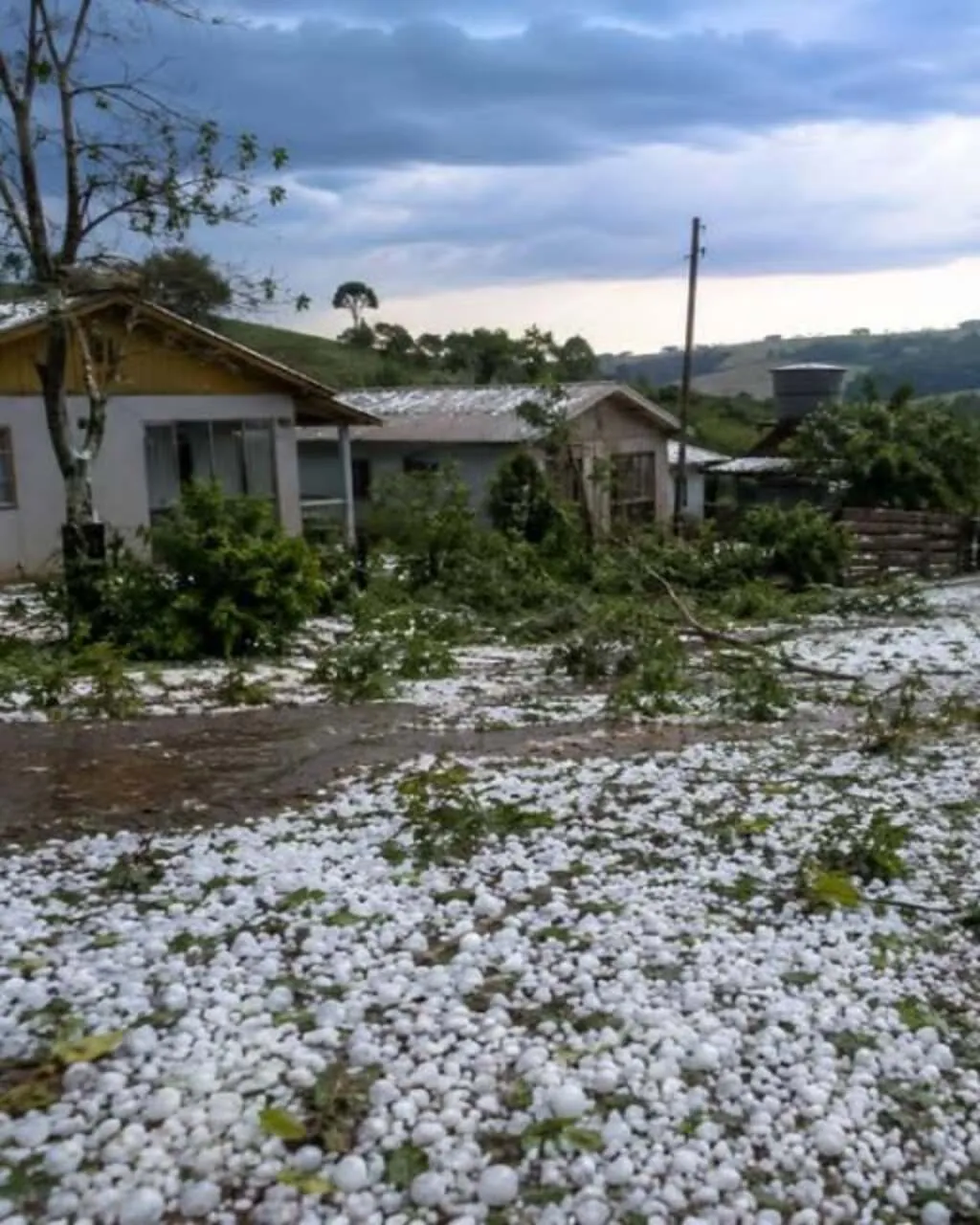 Camada de pedras de granizo cobre o chão em frente a casas de Pinhão. Galhos e folhas estão espalhados pelo terreno, sob céu nublado.